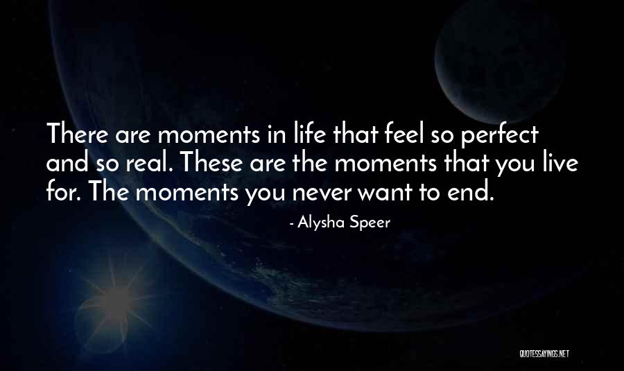 Perfect For You Quotes By Alysha Speer Perfect For You Quotes By Alysha Speer
