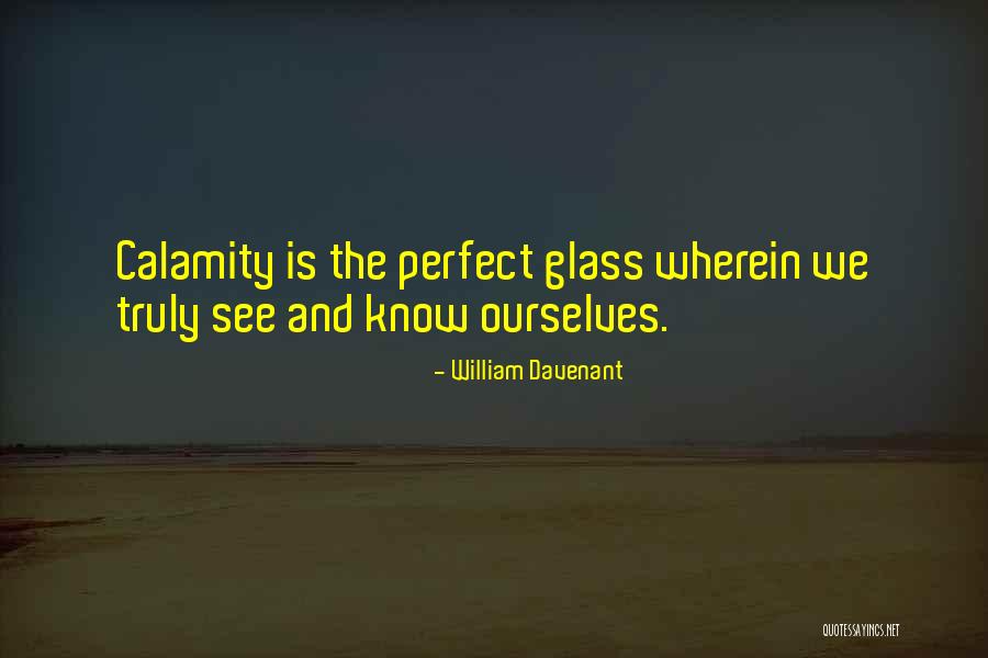 Perfect Glass Quotes By William Davenant Perfect Glass Quotes By William Davenant
