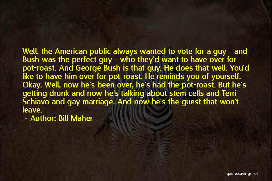 Perfect Guy For You Quotes By Bill Maher