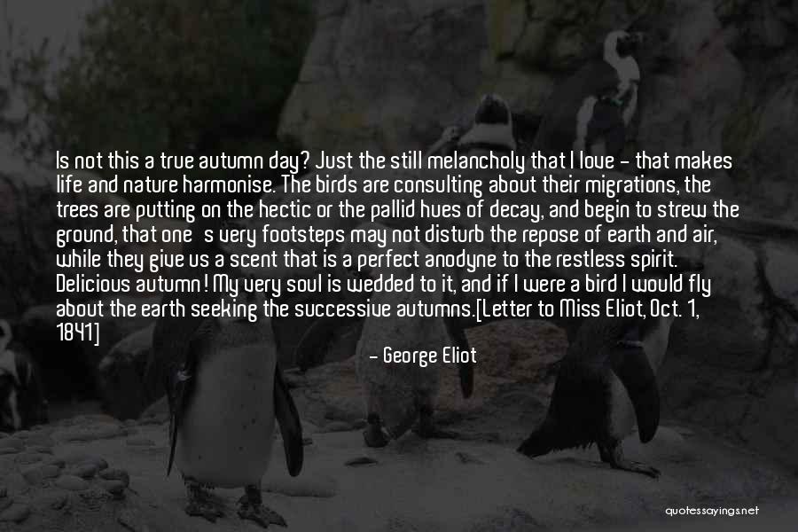 Perfect I Miss You Quotes By George Eliot