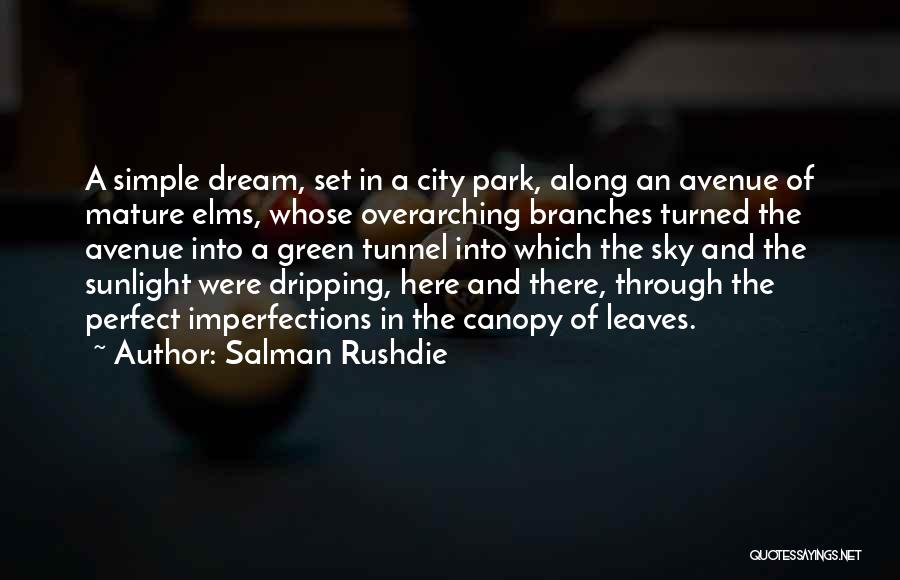 Perfect In Imperfections Quotes By Salman Rushdie