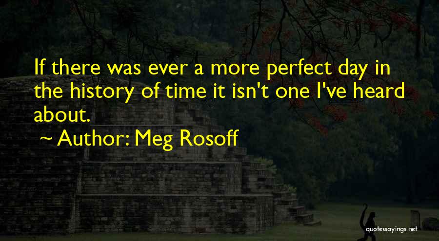 Perfect Love Life Quotes By Meg Rosoff