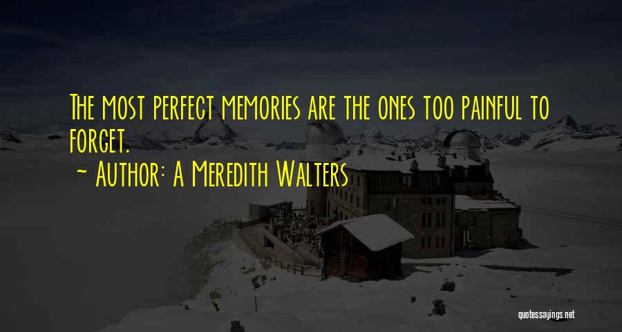Perfect Memories Quotes By A Meredith Walters