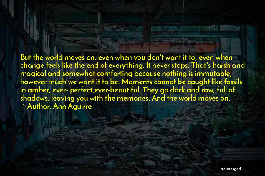 Perfect Memories Quotes By Ann Aguirre