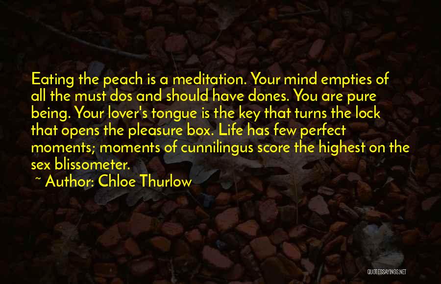 Perfect Moments Quotes By Chloe Thurlow