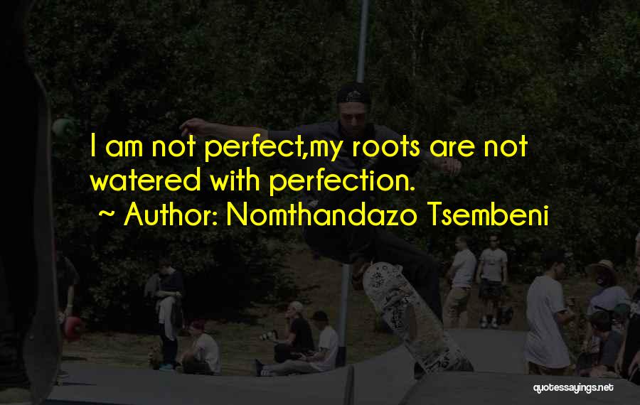 Perfect Motivational Quotes By Nomthandazo Tsembeni