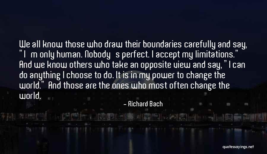 Perfect Opposites Quotes By Richard Bach