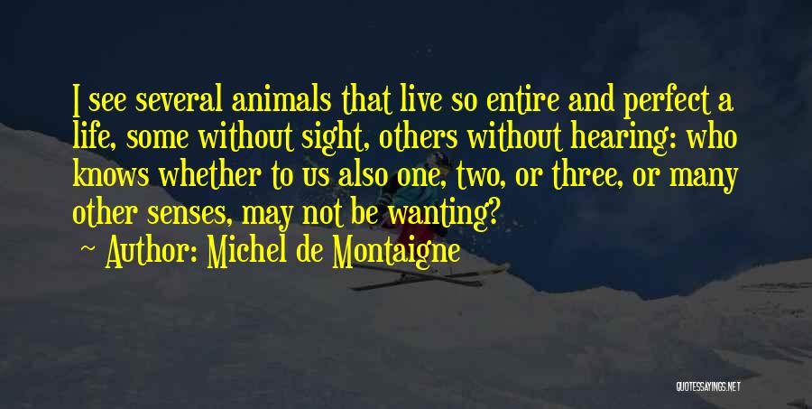 Perfect Sight Quotes By Michel De Montaigne