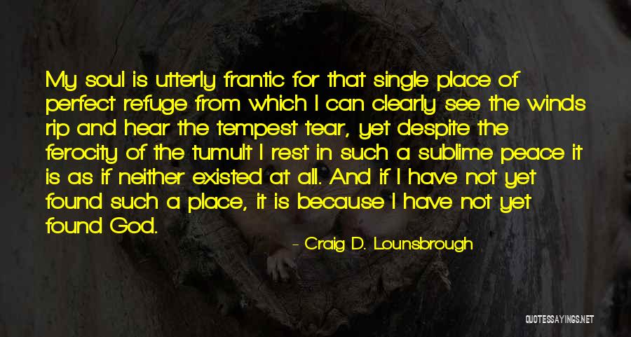 Perfect Storm Quotes By Craig D. Lounsbrough