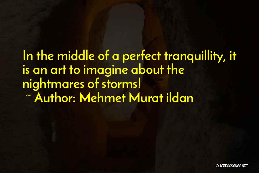 Perfect Storm Quotes By Mehmet Murat Ildan