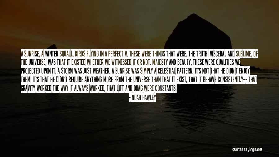 Perfect Storm Quotes By Noah Hawley