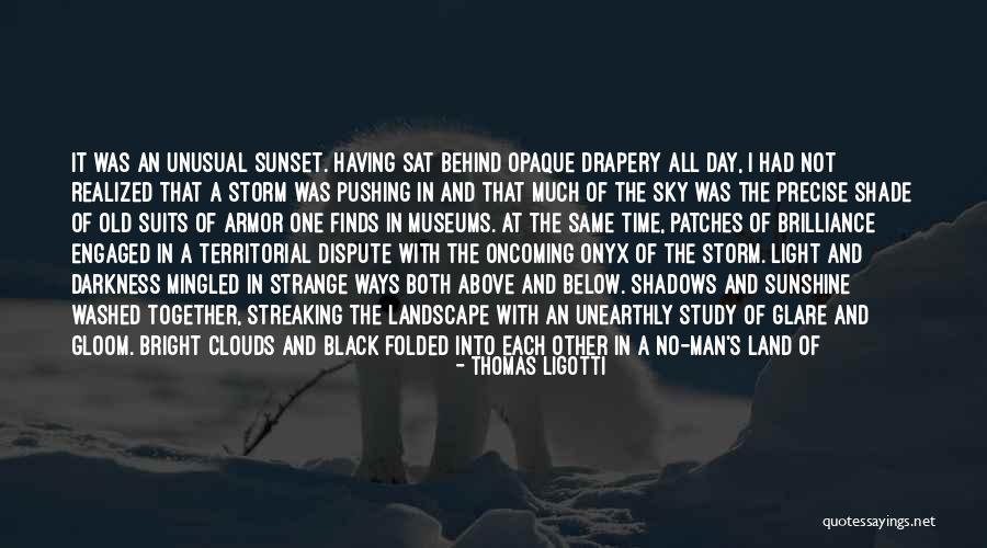 Perfect Storm Quotes By Thomas Ligotti