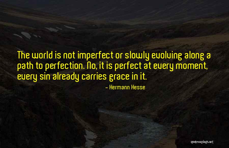 Perfect Vs Imperfect Quotes By Hermann Hesse