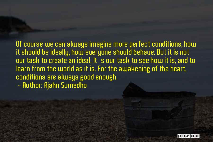 Perfect World Quotes By Ajahn Sumedho