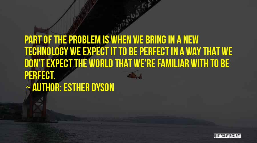 Perfect World Quotes By Esther Dyson