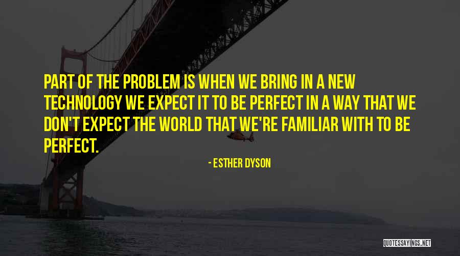 Perfect World Quotes By Esther Dyson