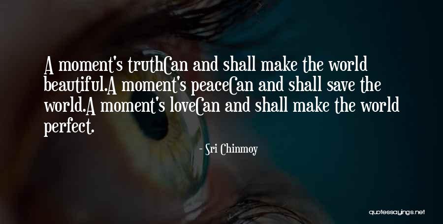 Perfect World Quotes By Sri Chinmoy