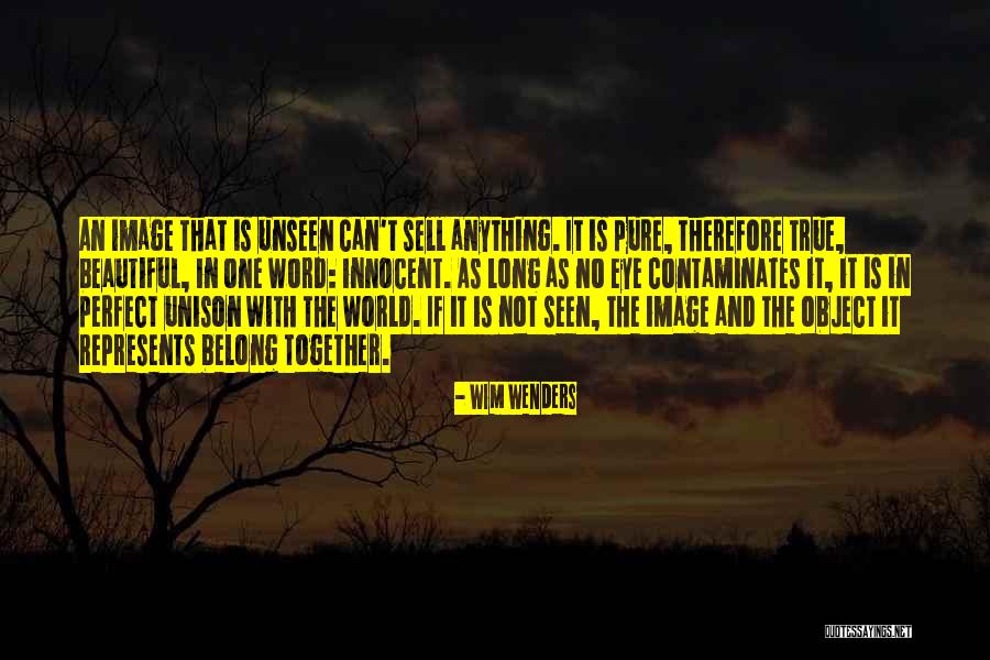 Perfect World Quotes By Wim Wenders