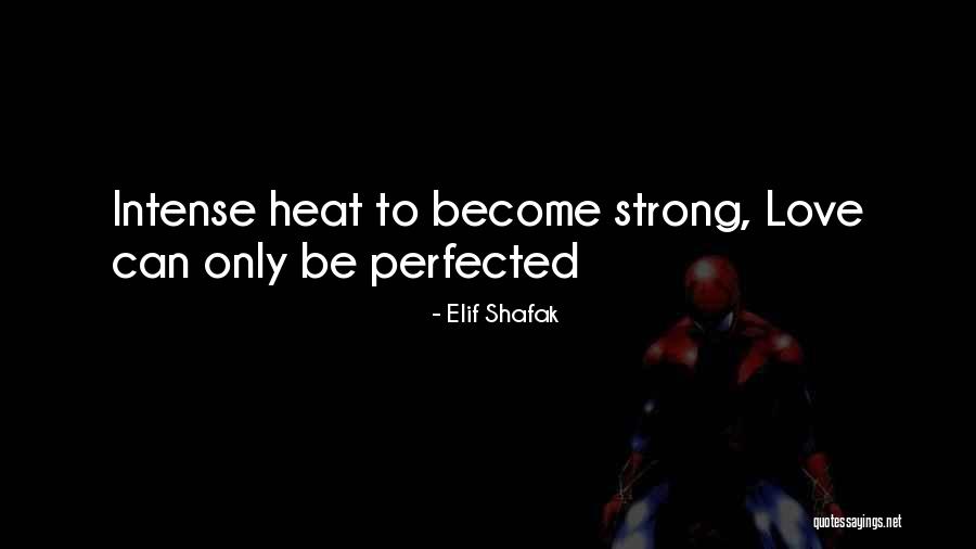 Perfected Quotes By Elif Shafak Perfected Quotes By Elif Shafak