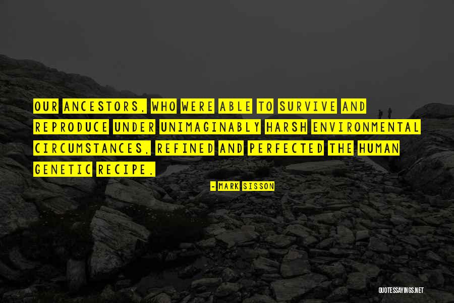 Perfected Quotes By Mark Sisson Perfected Quotes By Mark Sisson