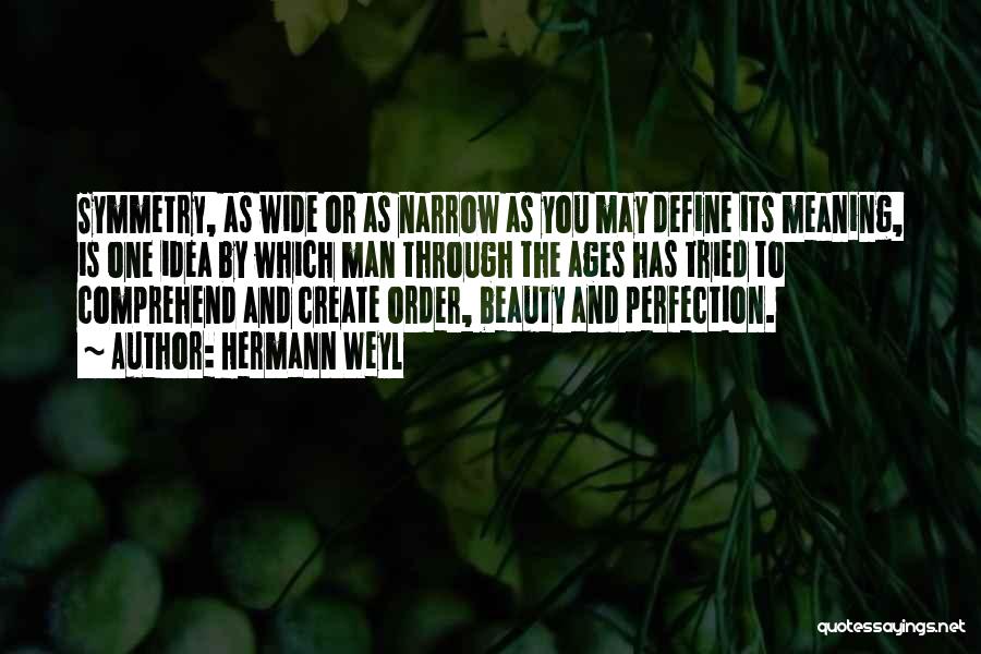 Perfection And Beauty Quotes By Hermann Weyl