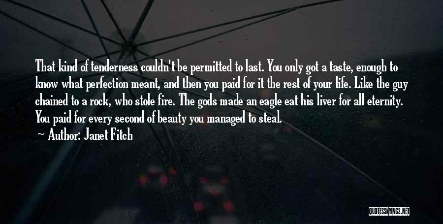 Perfection And Beauty Quotes By Janet Fitch