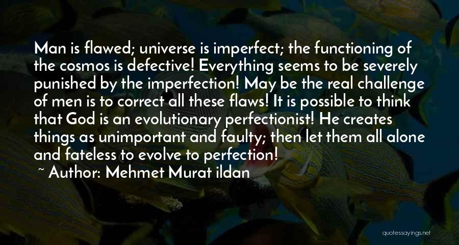 Perfection And Flaws Quotes By Mehmet Murat Ildan