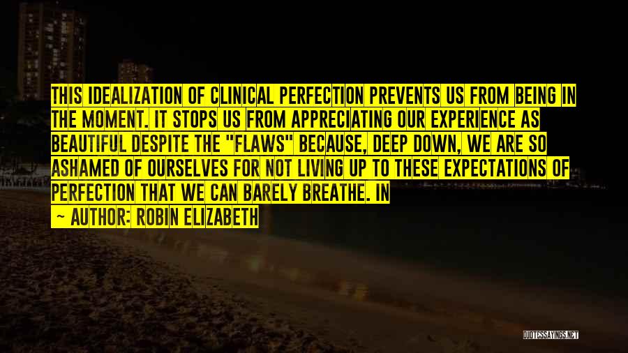 Perfection And Flaws Quotes By Robin Elizabeth