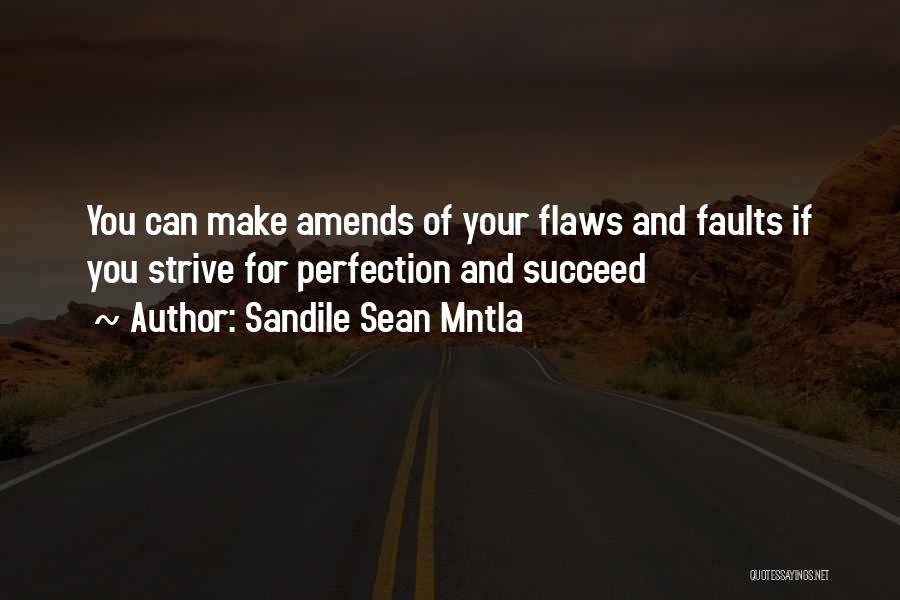 Perfection And Flaws Quotes By Sandile Sean Mntla