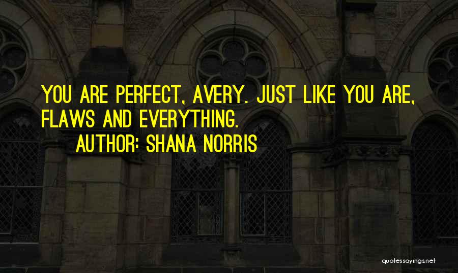 Perfection And Flaws Quotes By Shana Norris