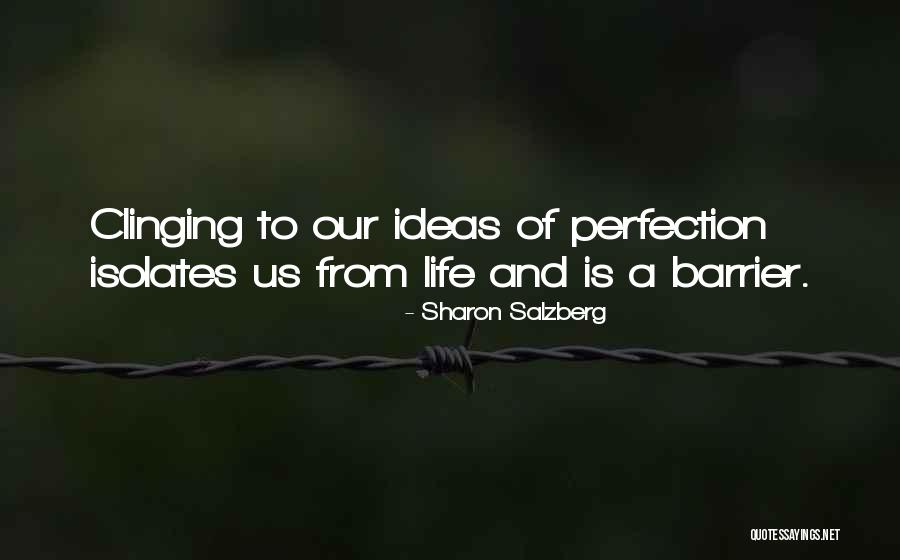 Perfection And Love Quotes By Sharon Salzberg Perfection And Love Quotes By Sharon Salzberg