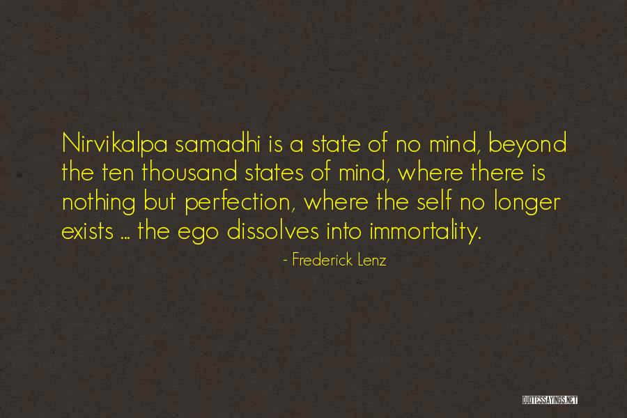 Perfection Exists Quotes By Frederick Lenz