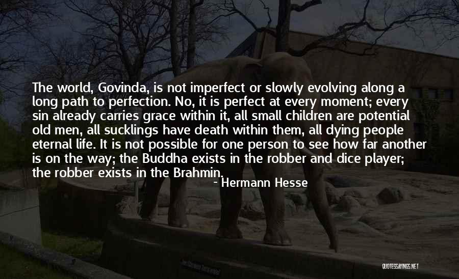 Perfection Exists Quotes By Hermann Hesse