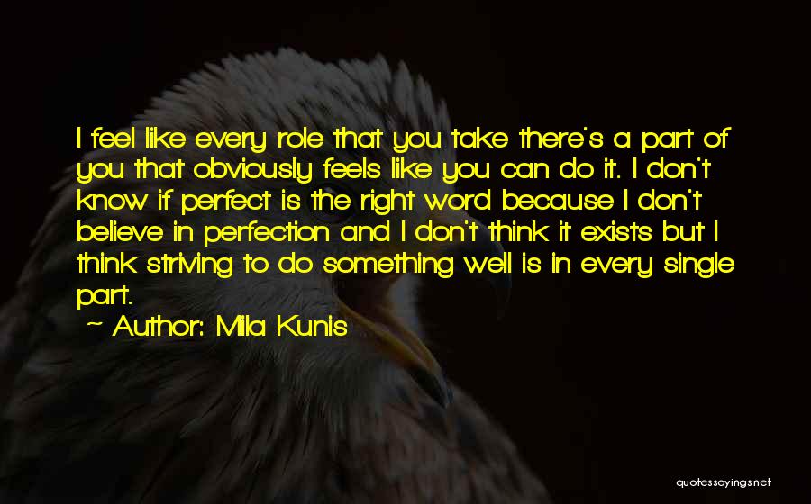 Perfection Exists Quotes By Mila Kunis