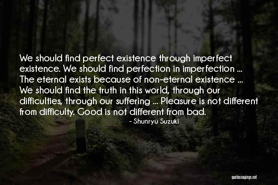 Perfection Exists Quotes By Shunryu Suzuki