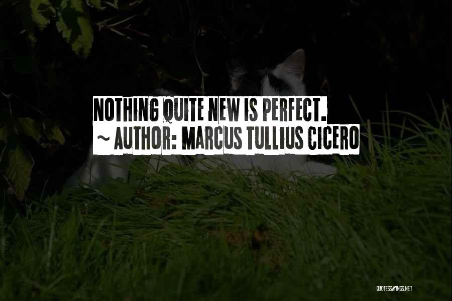 Perfection I Am Not Perfect Quotes By Marcus Tullius Cicero