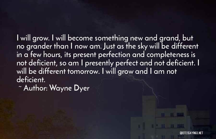 Perfection I Am Not Perfect Quotes By Wayne Dyer