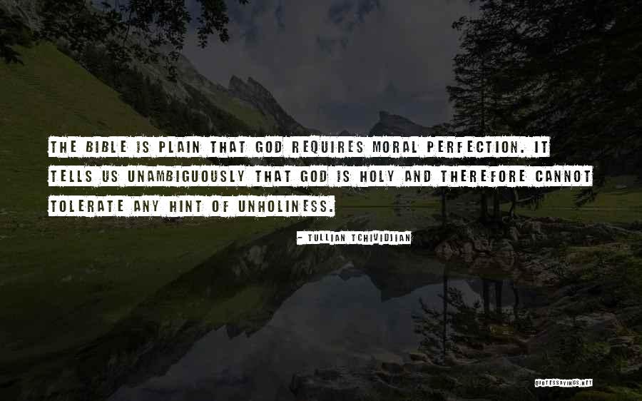 Perfection In The Bible Quotes By Tullian Tchividjian