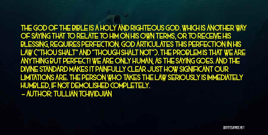Perfection In The Bible Quotes By Tullian Tchividjian