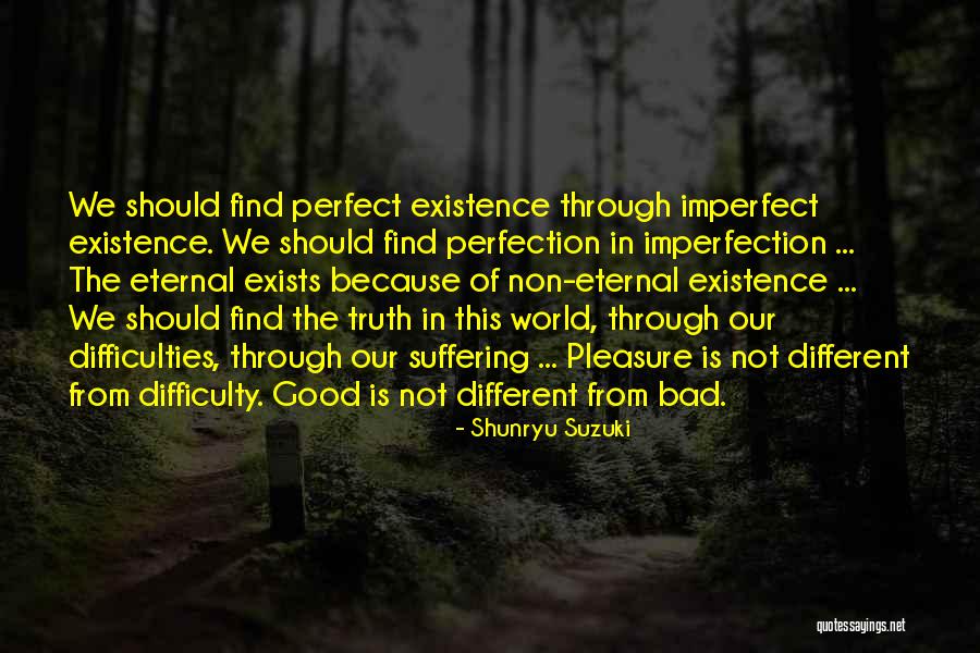 Perfection Is Imperfection Quotes By Shunryu Suzuki Perfection Is Imperfection Quotes By Shunryu Suzuki