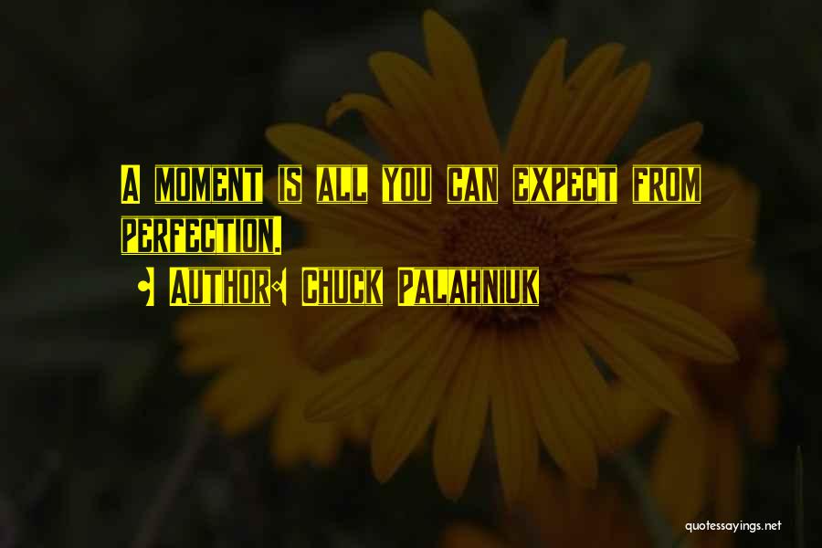 Perfection Is You Quotes By Chuck Palahniuk