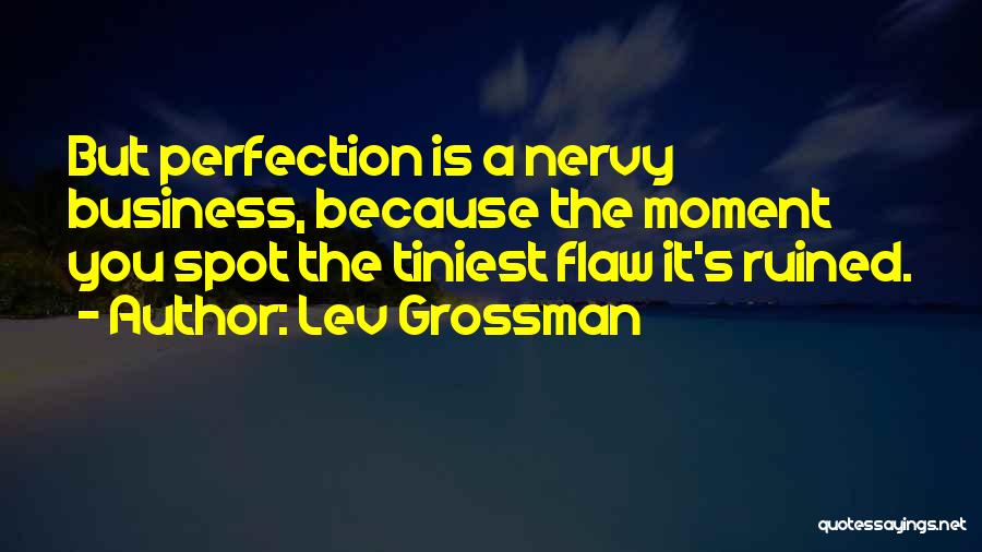 Perfection Is You Quotes By Lev Grossman