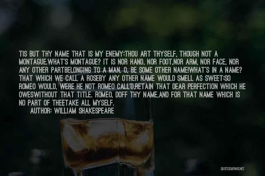 Perfection Shakespeare Quotes By William Shakespeare