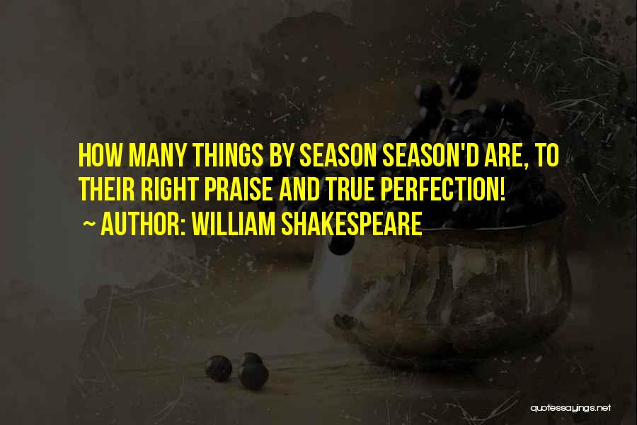 Perfection Shakespeare Quotes By William Shakespeare