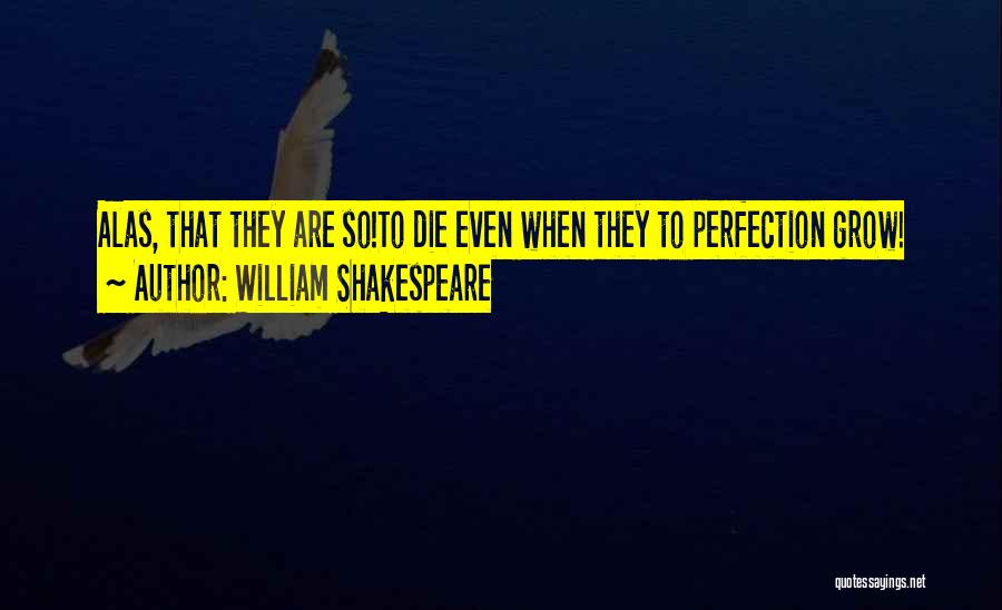Perfection Shakespeare Quotes By William Shakespeare