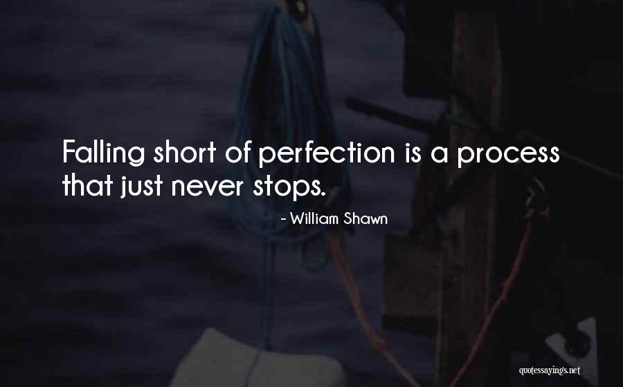 Perfection Short Quotes By William Shawn