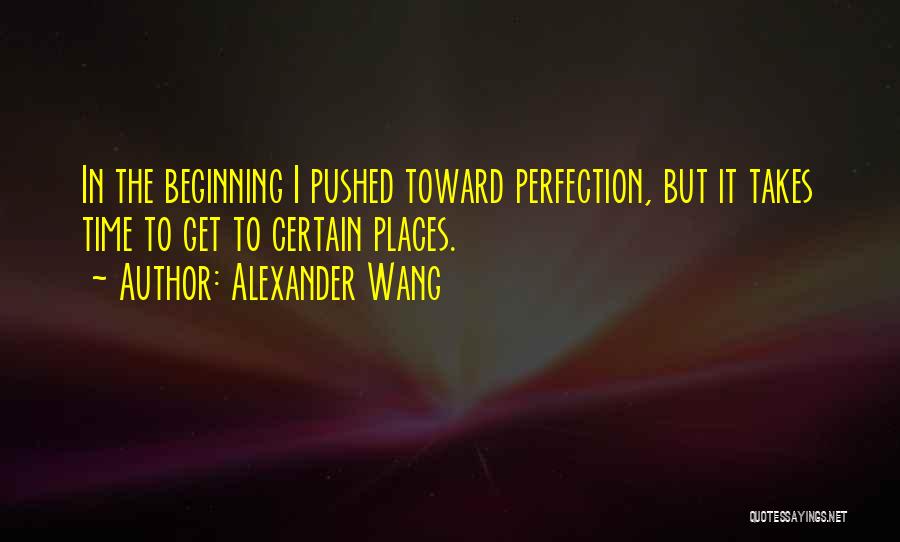 Perfection Takes Time Quotes By Alexander Wang