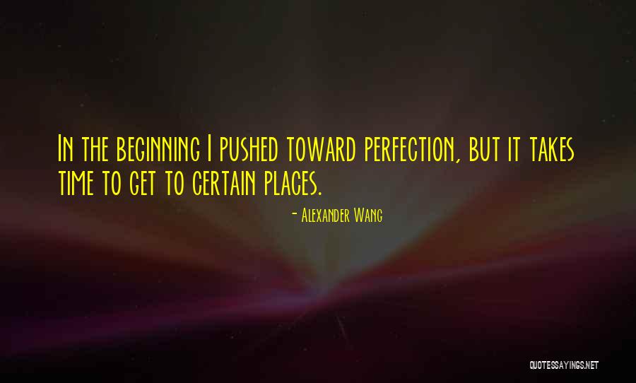 Perfection Takes Time Quotes By Alexander Wang