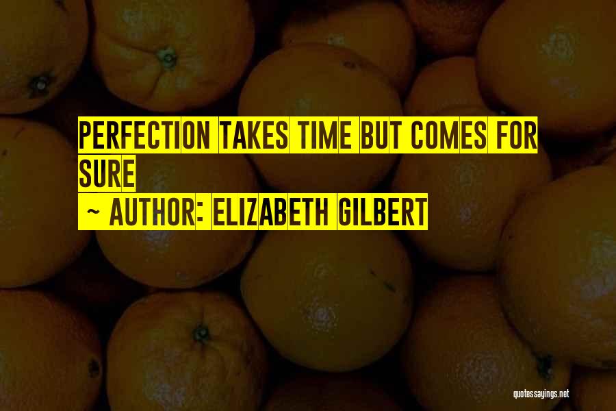 Perfection Takes Time Quotes By Elizabeth Gilbert