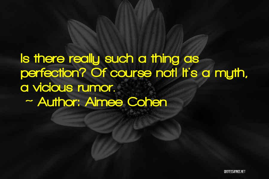 Perfection Unattainable Quotes By Aimee Cohen
